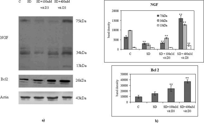 FIGURE 7: