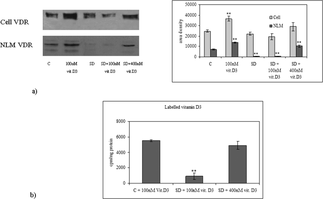 FIGURE 5: