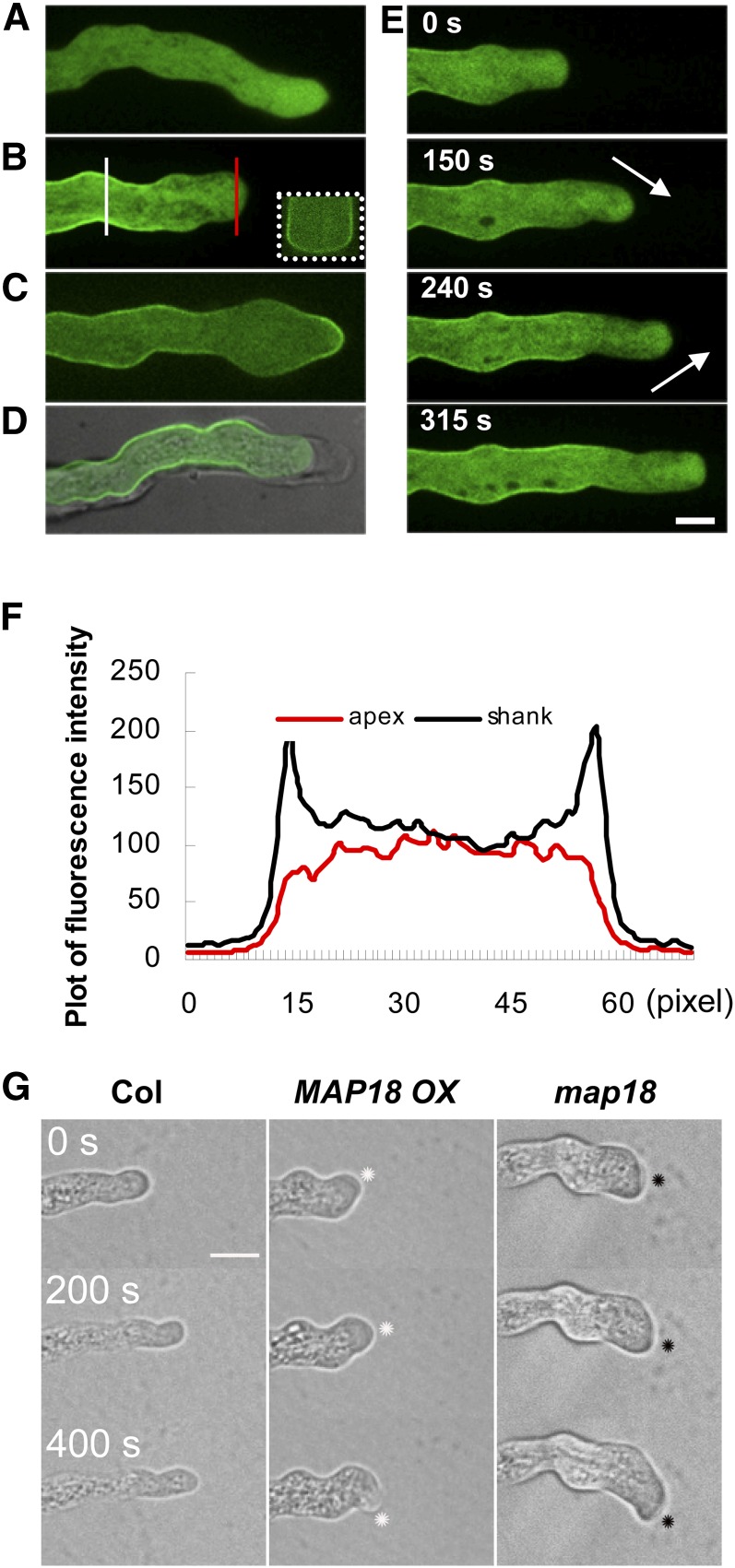 Figure 5.