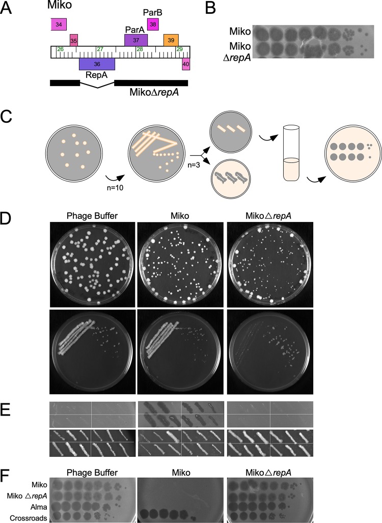 FIG 3