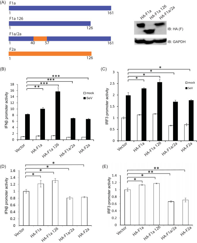 FIG 3