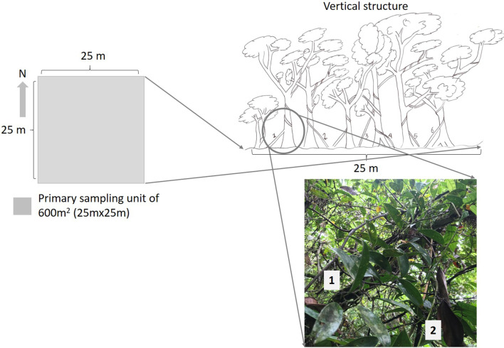 Fig. 1
