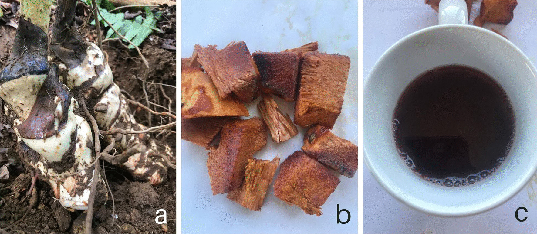 Fig. 7