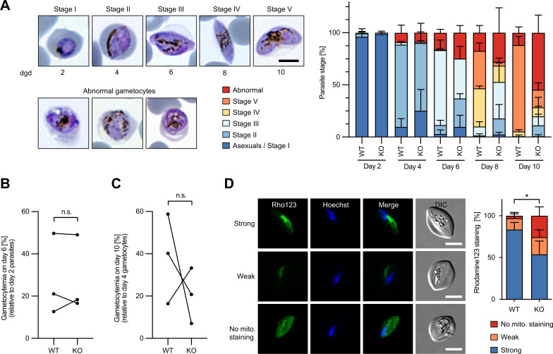 Fig 6