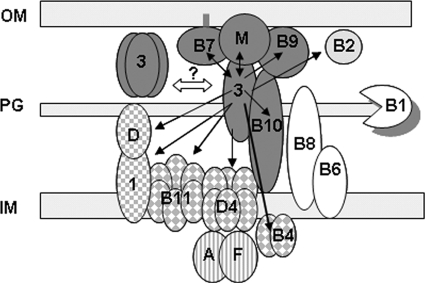 FIG. 8.