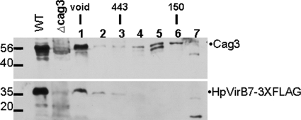 FIG. 5.