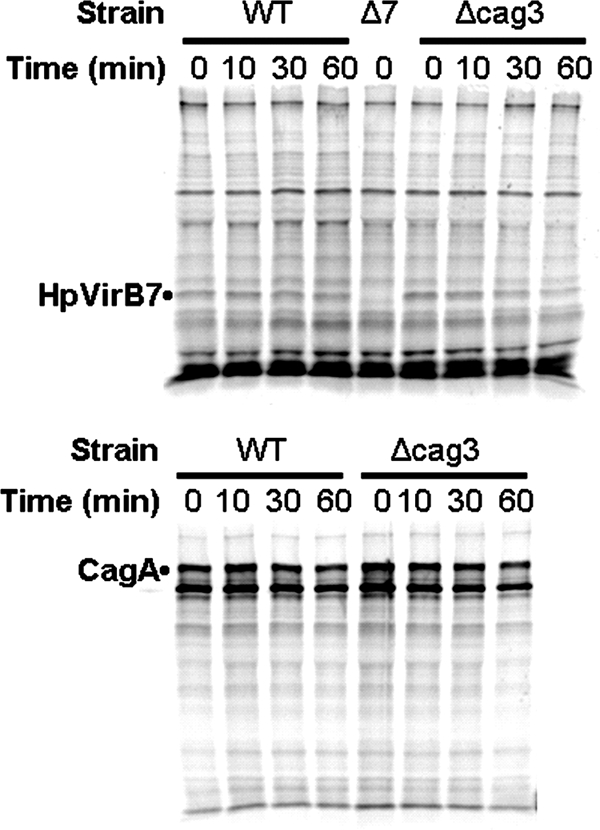 FIG. 7.