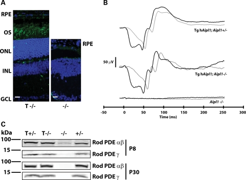 Figure 3.