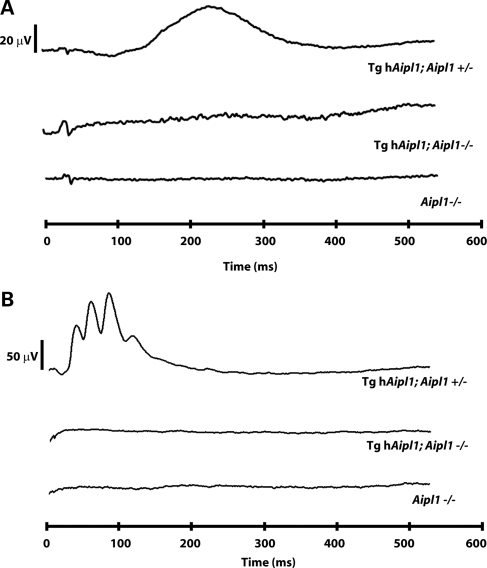 Figure 4.