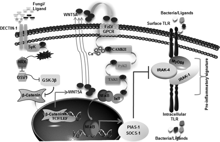 FIG 10