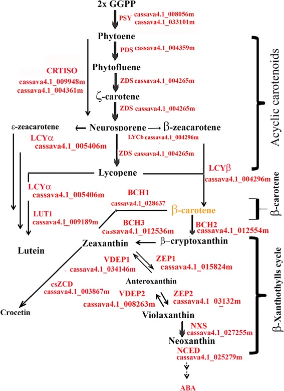 Fig. 9