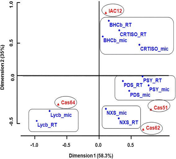 Fig. 7