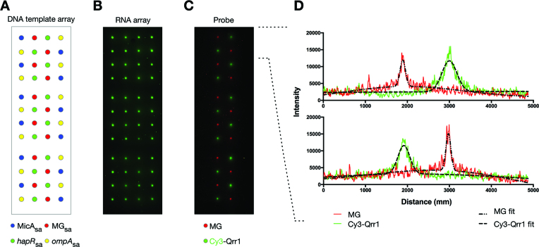 Figure 6.