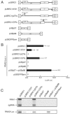 FIG. 3.