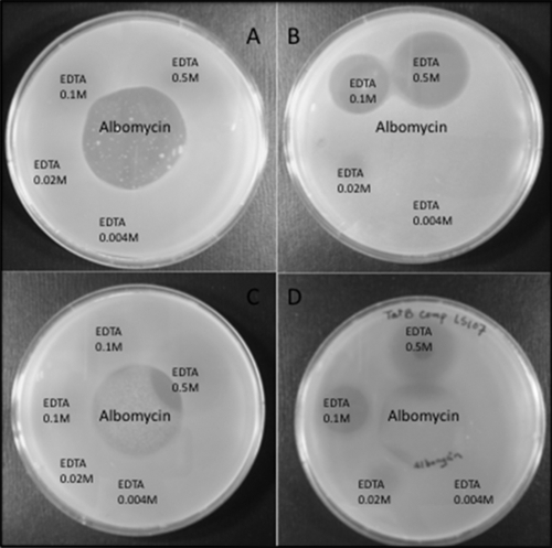 FIG. 4.