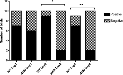 FIG. 11.