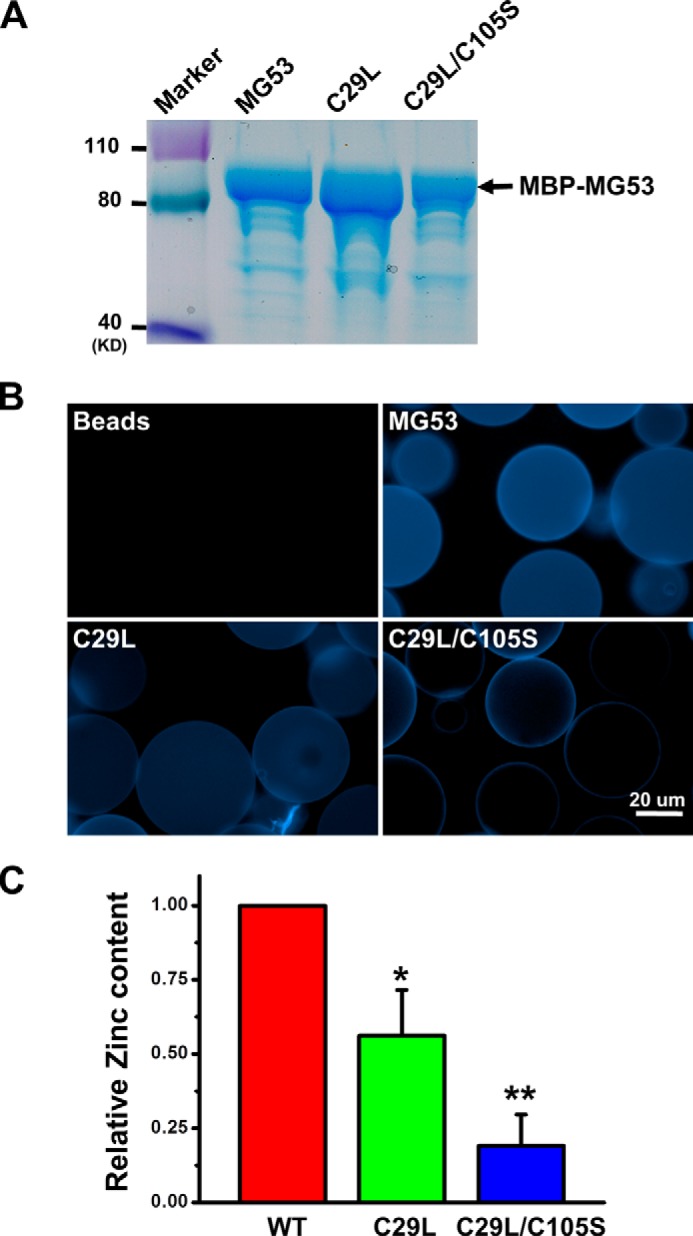 FIGURE 4.