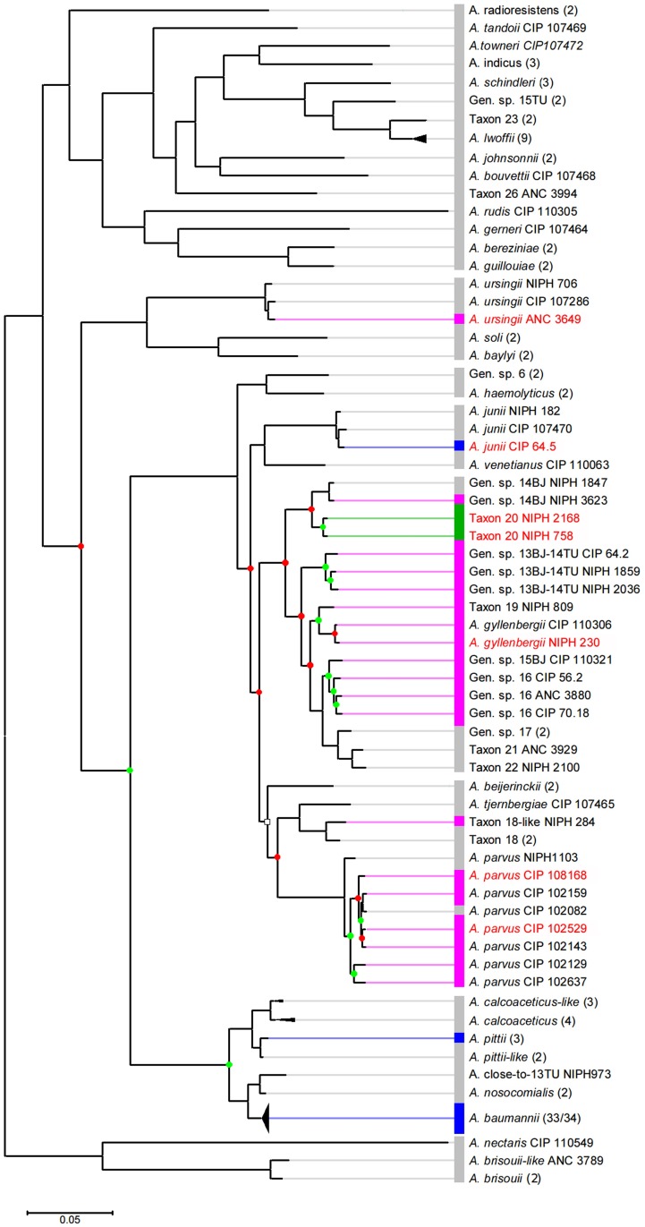 Fig 2