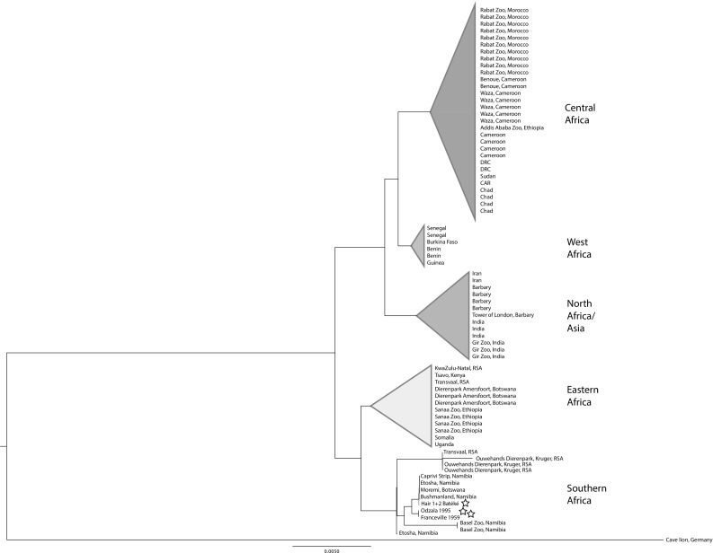 Fig. 3