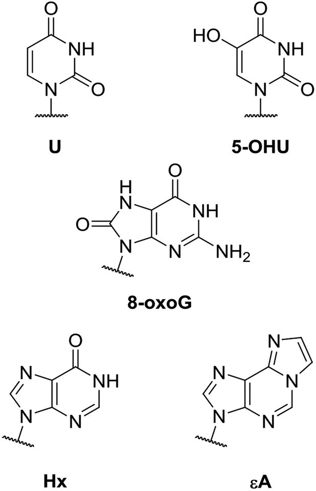 Scheme 1.