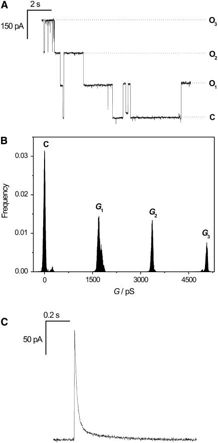 FIGURE 3