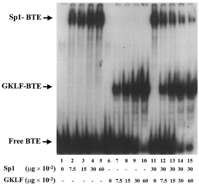 Fig. 11