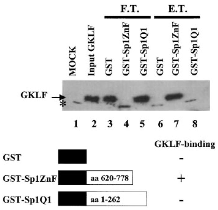 Fig. 12