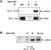 Fig. 9.