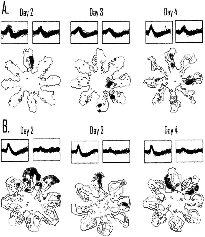 Fig. 10.