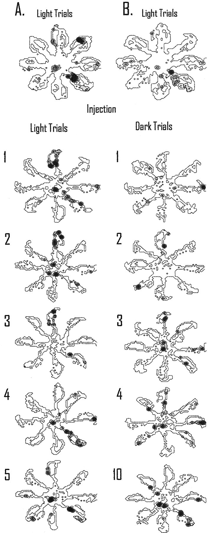 Fig. 8.