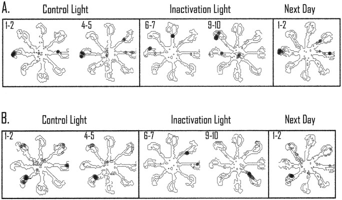 Fig. 6.