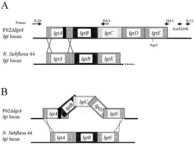 FIG. 3