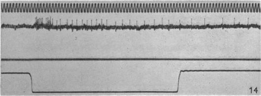 Fig. 14