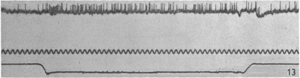 Fig. 13