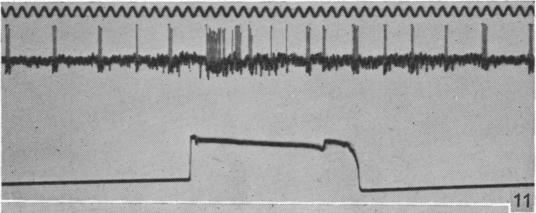 Fig. 11