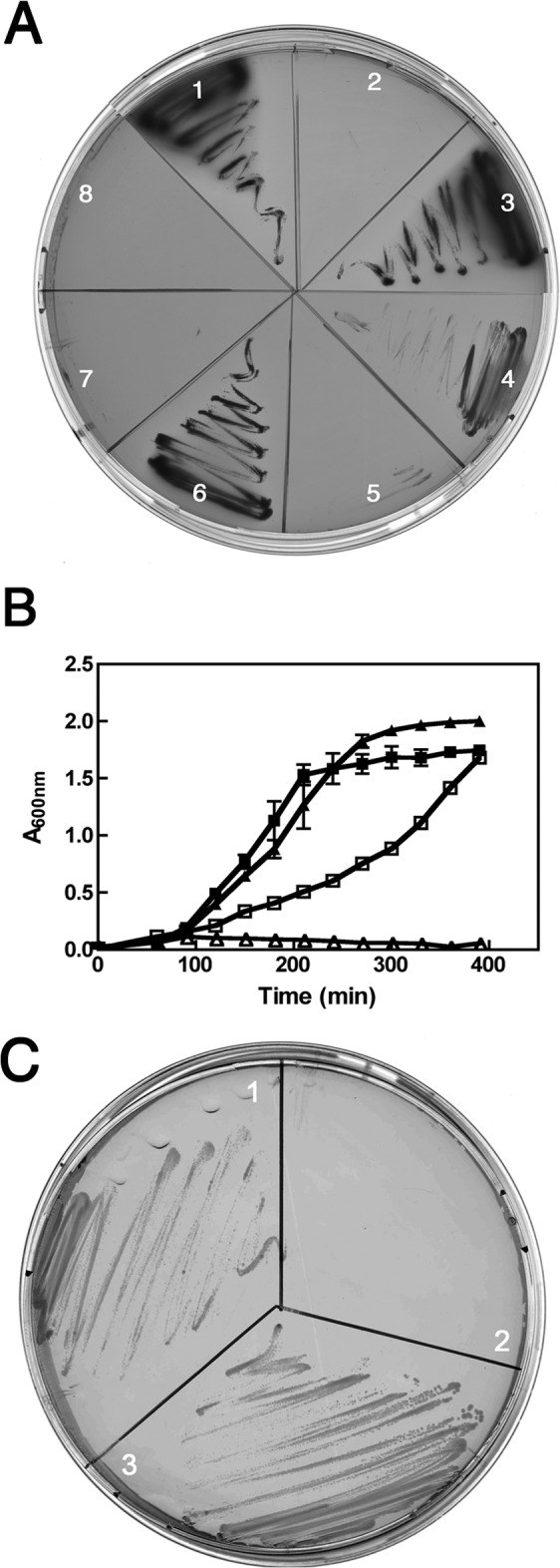 FIG 1