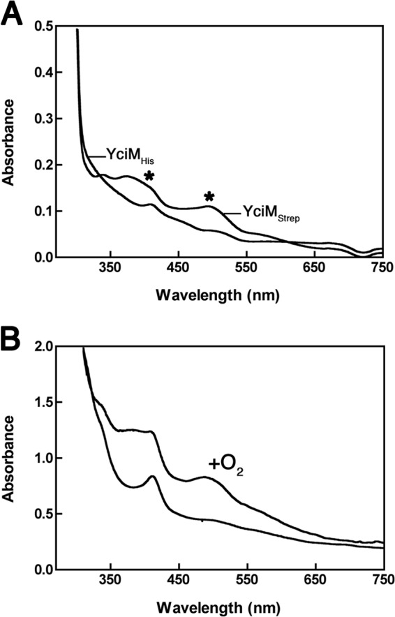 FIG 5