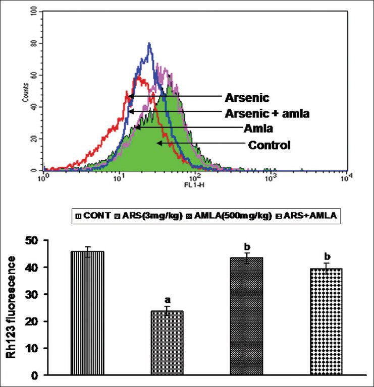 Figure 7