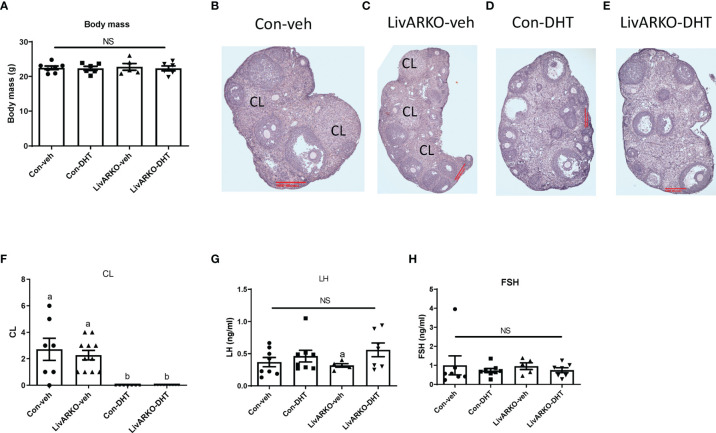 Figure 4