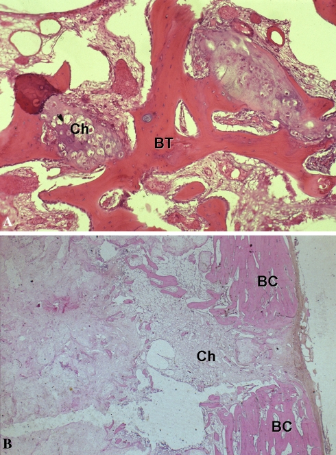 Fig. 3A–B