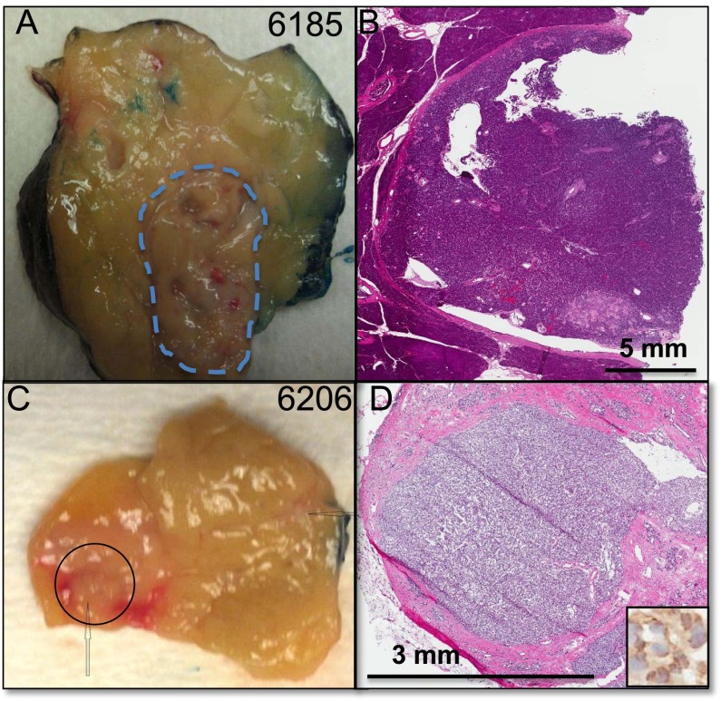 FIG. 5.