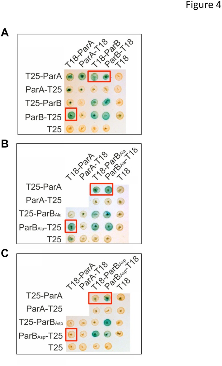 Fig 4