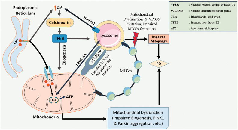 Figure 2.