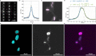 Extended Data Fig. 1