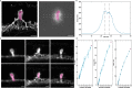 Extended Data Fig. 6