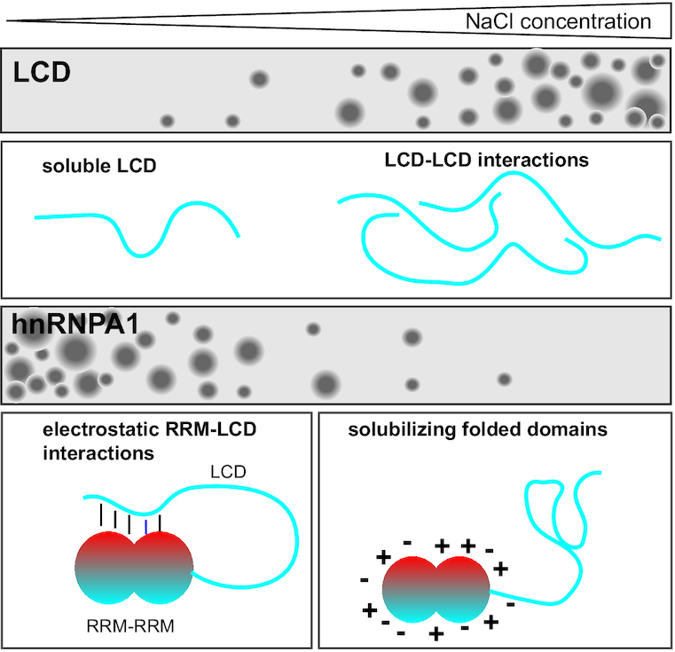 Graphical Abstract