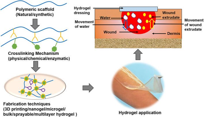 FIGURE 4