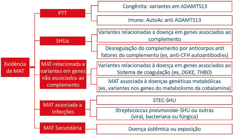 Figura 1