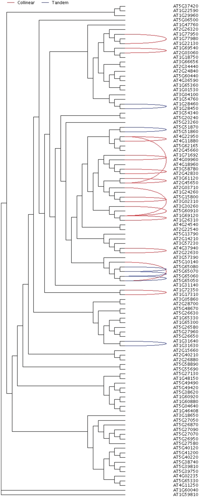 Figure 5.