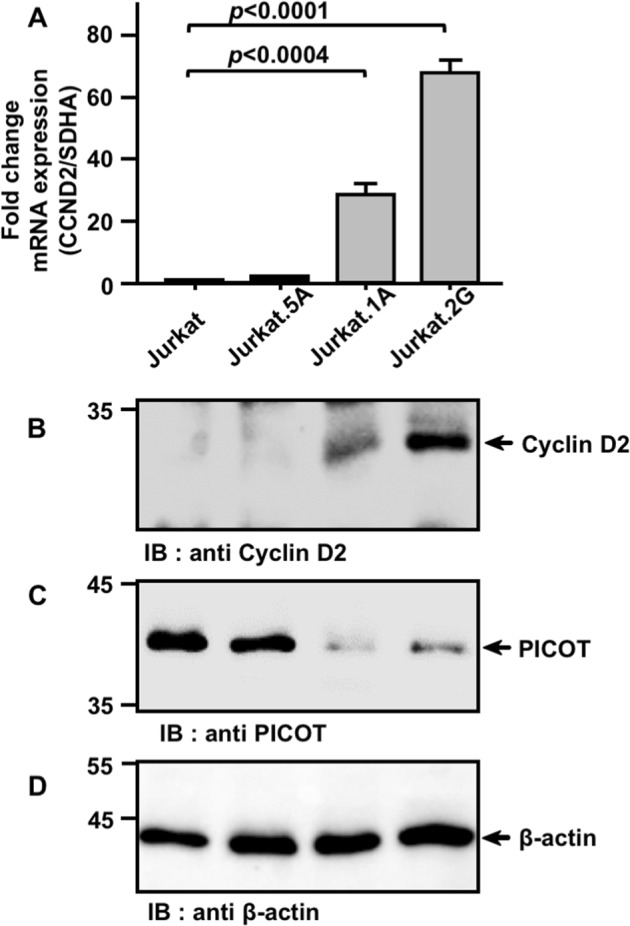 Fig. 5